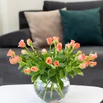 Guest house Villa Amore Brela 3*