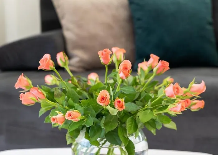بيت ضيافة Villa Amore Brela 3*