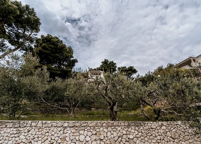 Villa Amore Brela بيت ضيافة 3*