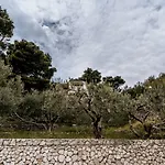 Villa Amore Brela Gæstehus 3*