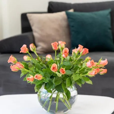 ゲストハウス Villa Amore Brela 3*