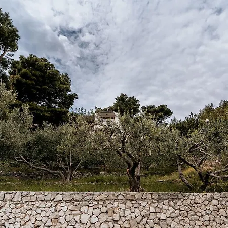 Villa Amore Brela Guest house 3*
