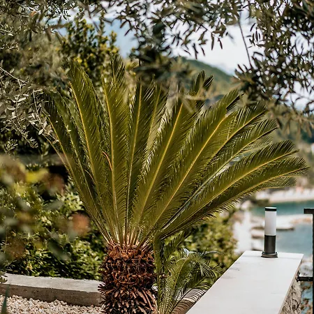 Villa Amore Brela ゲストハウス 3*